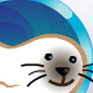 Another popular theme, the Arctic land-based casino game is a consistent seller.